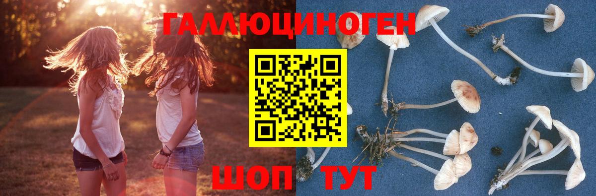 Галлюциногенные грибы MAGIC MUSHROOMS Конаково